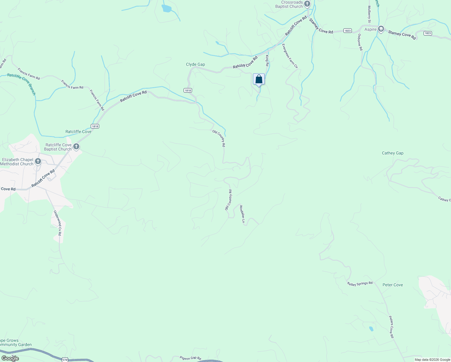 map of restaurants, bars, coffee shops, grocery stores, and more near 945 Brandywine Road in Waynesville