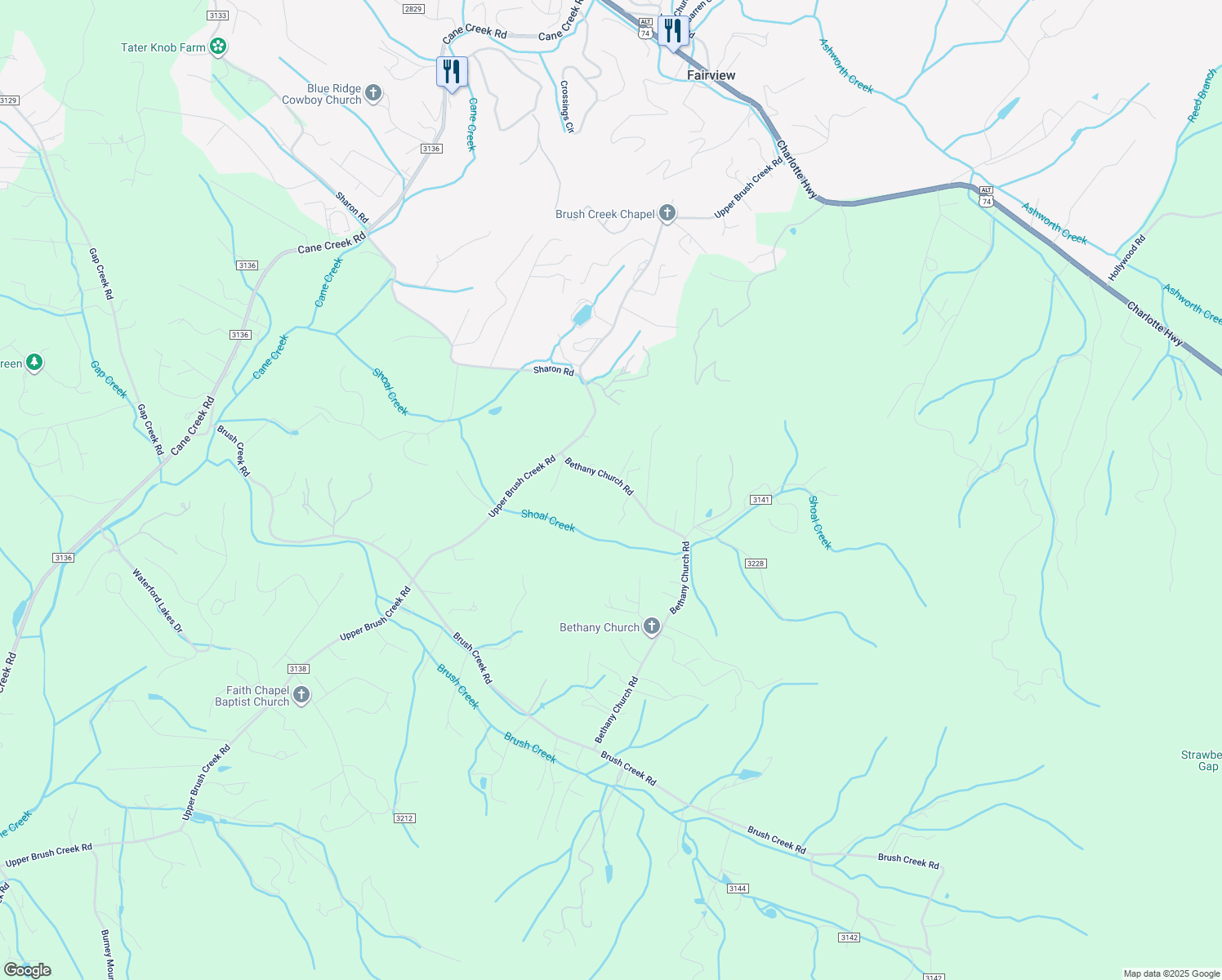 map of restaurants, bars, coffee shops, grocery stores, and more near 344 Bethany Church Road in Fairview