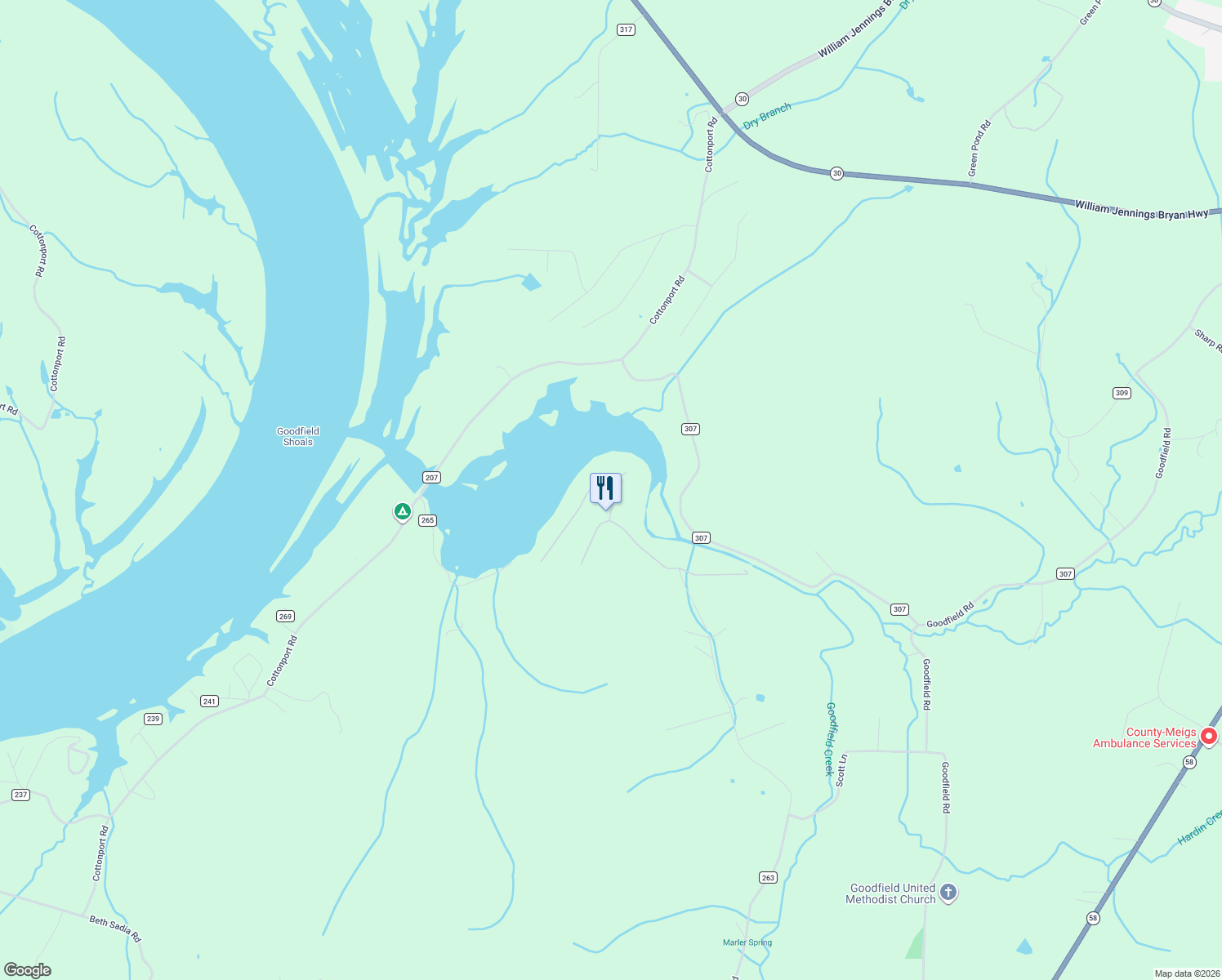 map of restaurants, bars, coffee shops, grocery stores, and more near County Road 307 in Decatur