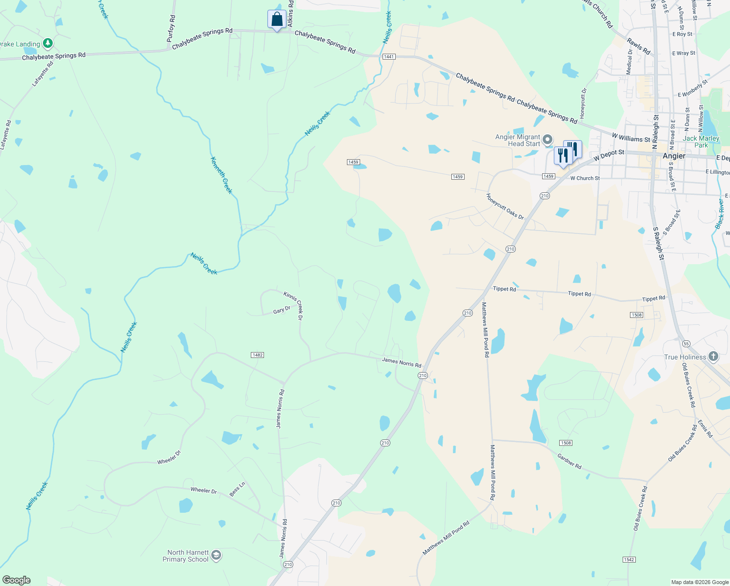 map of restaurants, bars, coffee shops, grocery stores, and more near 571 Chinaberry Lane in Angier
