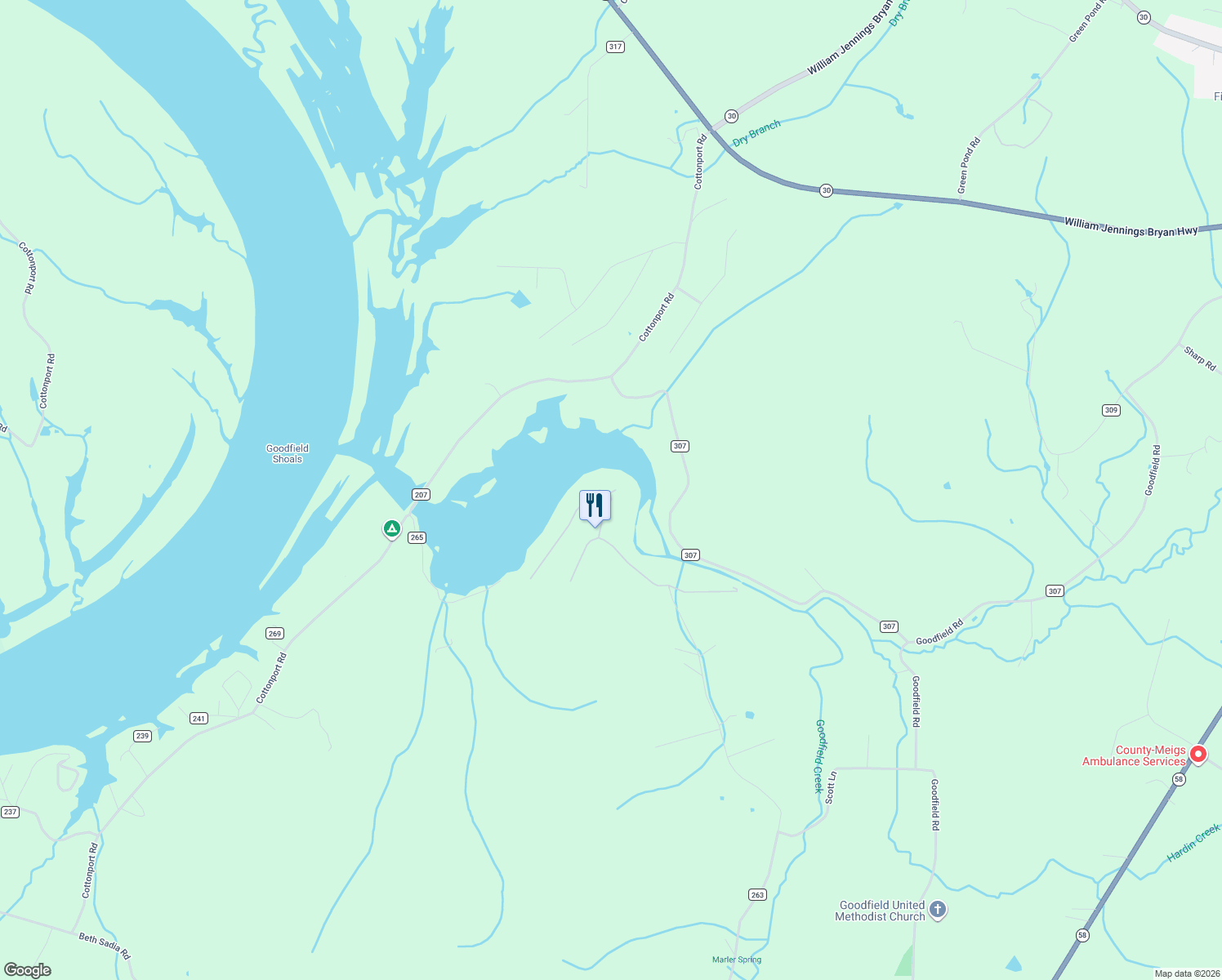 map of restaurants, bars, coffee shops, grocery stores, and more near County Road 307 in Decatur