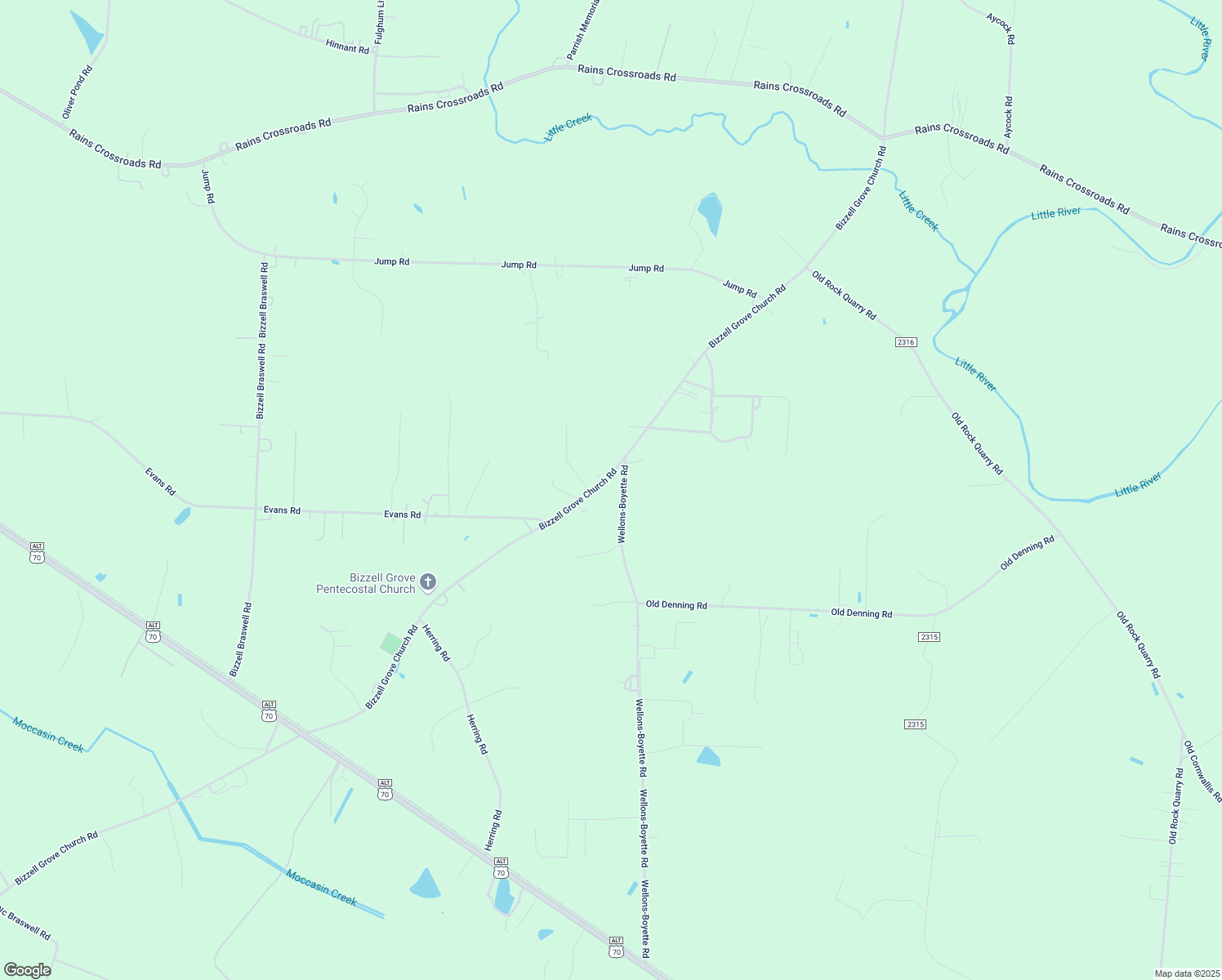 map of restaurants, bars, coffee shops, grocery stores, and more near 4199 Bizzell Grove Church Road in Princeton
