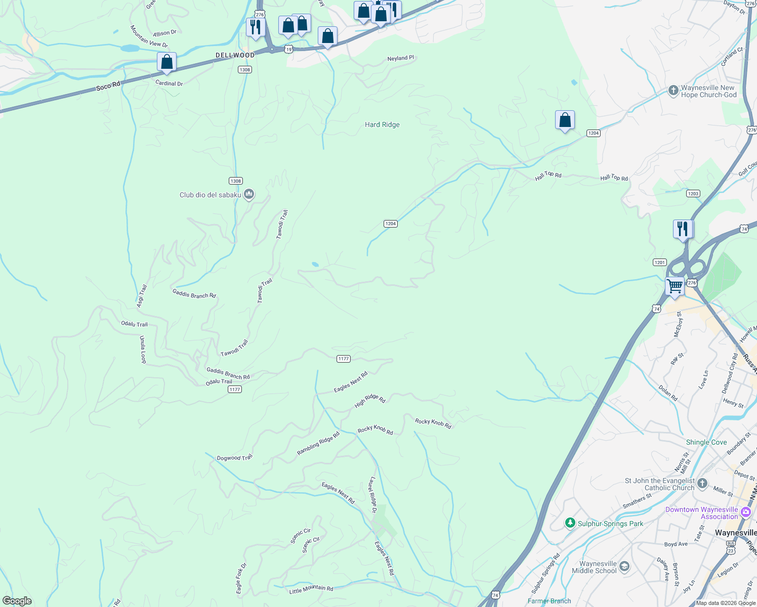 map of restaurants, bars, coffee shops, grocery stores, and more near 204 Staymon Road in Waynesville