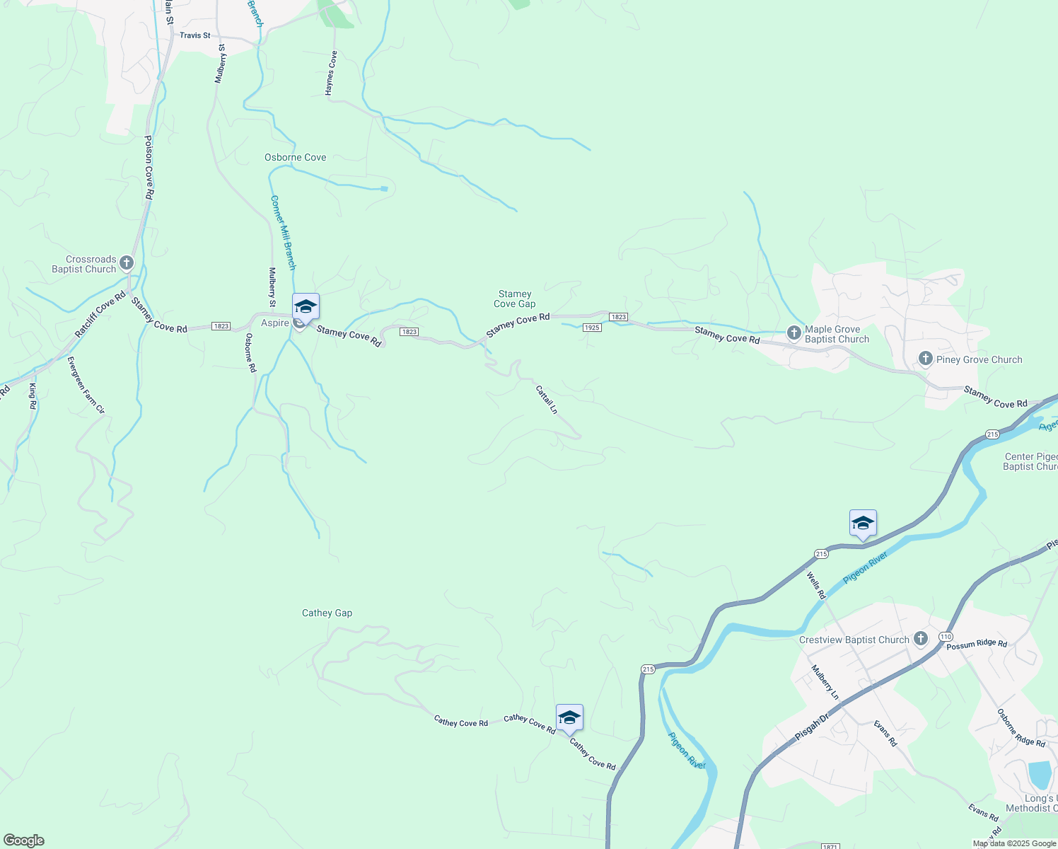 map of restaurants, bars, coffee shops, grocery stores, and more near 906 Cattail Lane in Waynesville