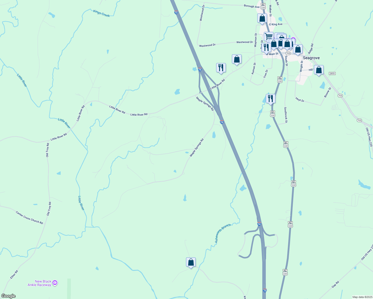 map of restaurants, bars, coffee shops, grocery stores, and more near 6139 Auman Farm Rd in Seagrove