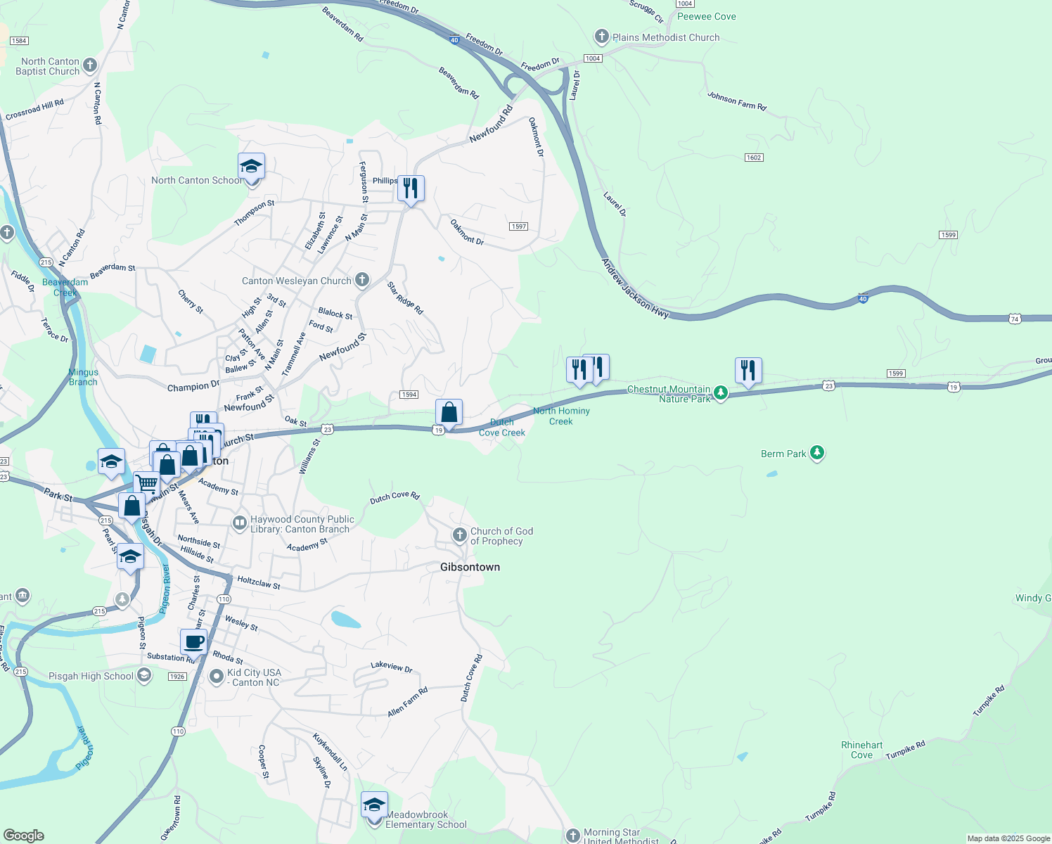 map of restaurants, bars, coffee shops, grocery stores, and more near 2951 Asheville Highway in Canton