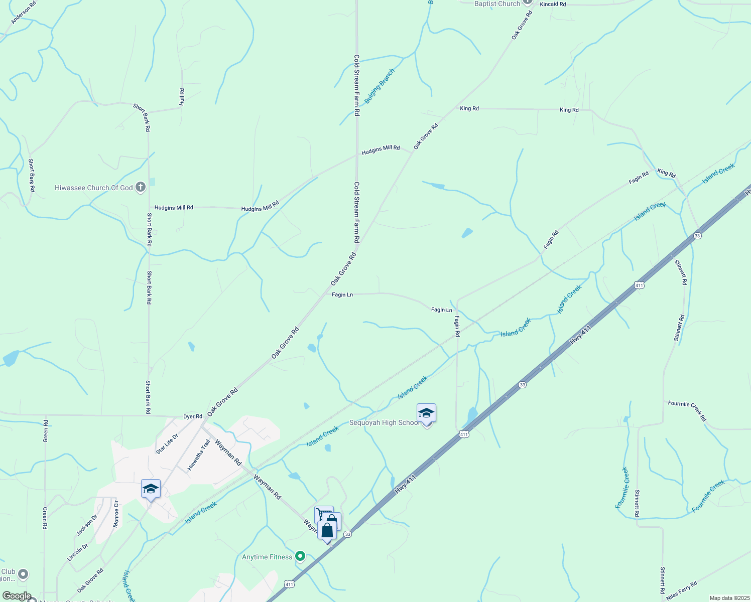 map of restaurants, bars, coffee shops, grocery stores, and more near 156 Fagin Ln in Madisonville