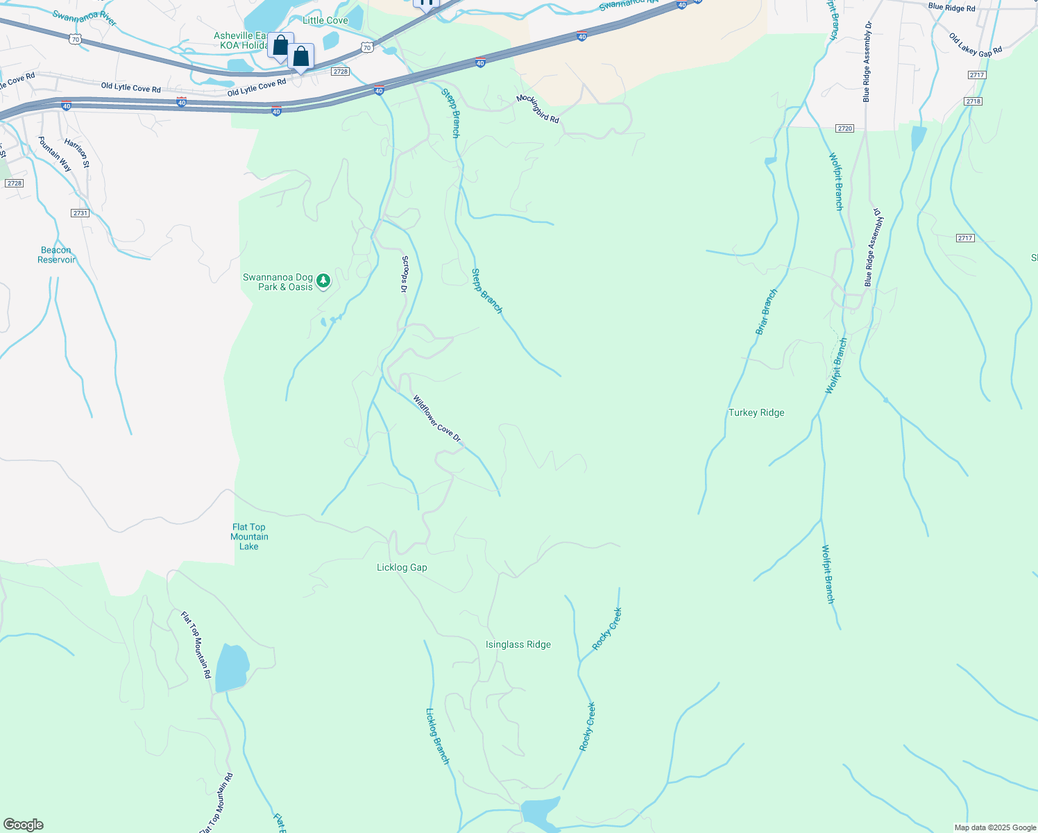 map of restaurants, bars, coffee shops, grocery stores, and more near Mountain Lily Ridge Drive in Swannanoa