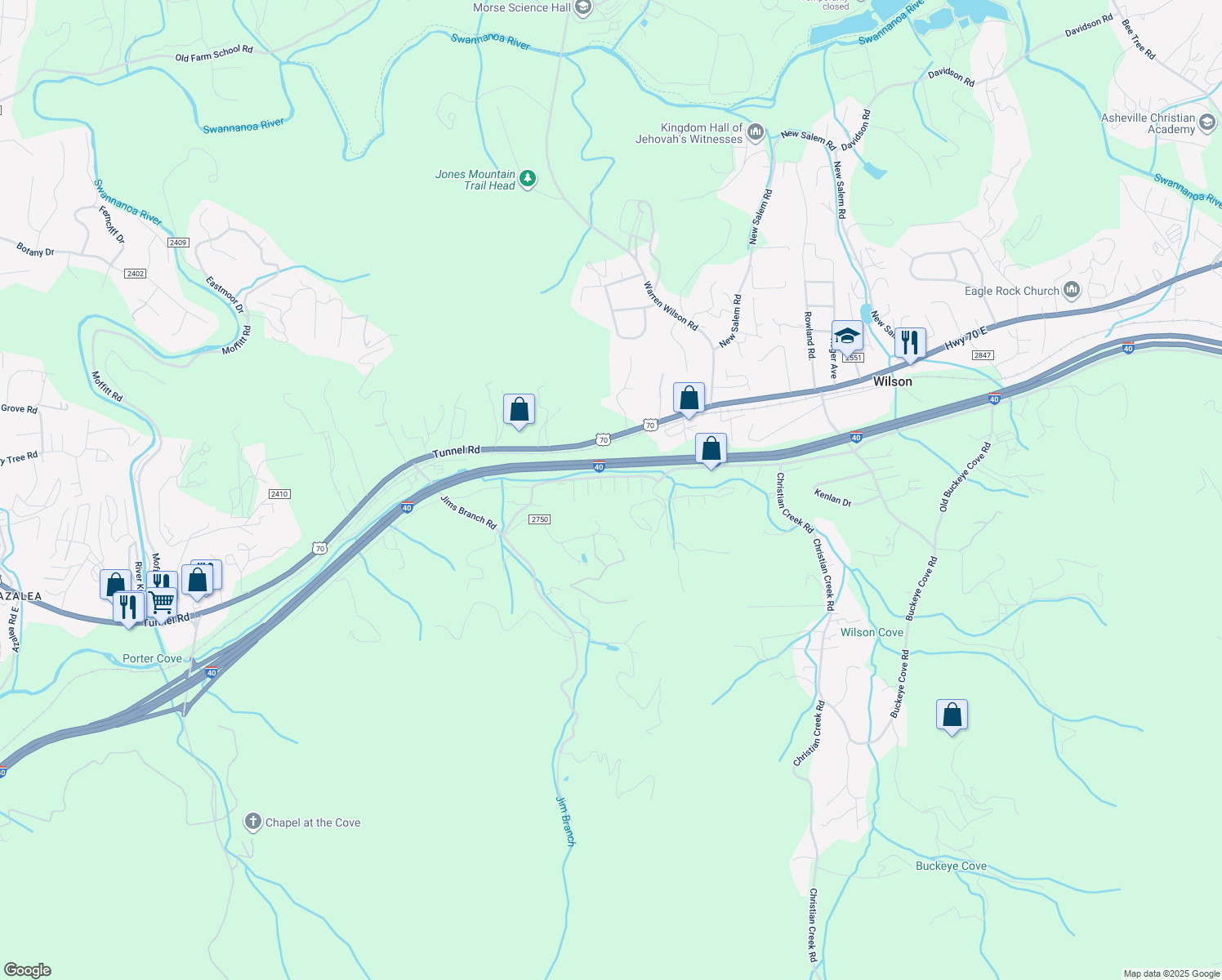 map of restaurants, bars, coffee shops, grocery stores, and more near 313 Tanbridge Road in Swannanoa