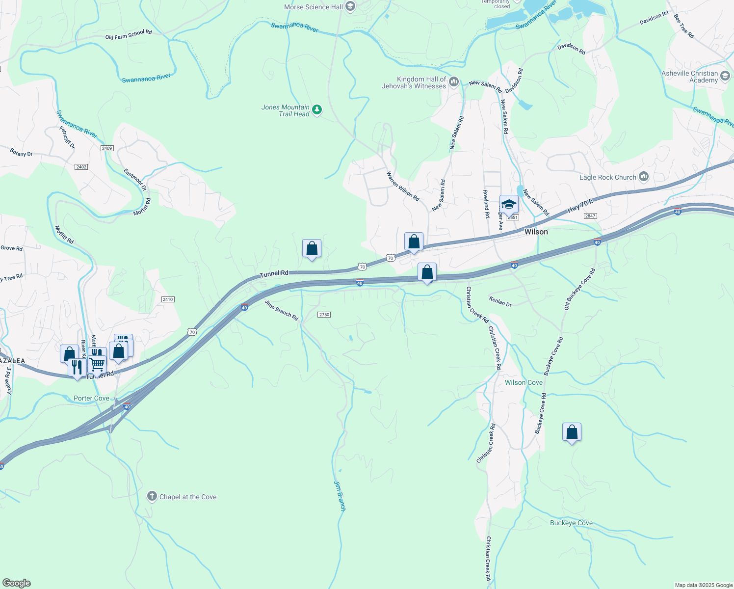 map of restaurants, bars, coffee shops, grocery stores, and more near 313 Tanbridge Road in Swannanoa