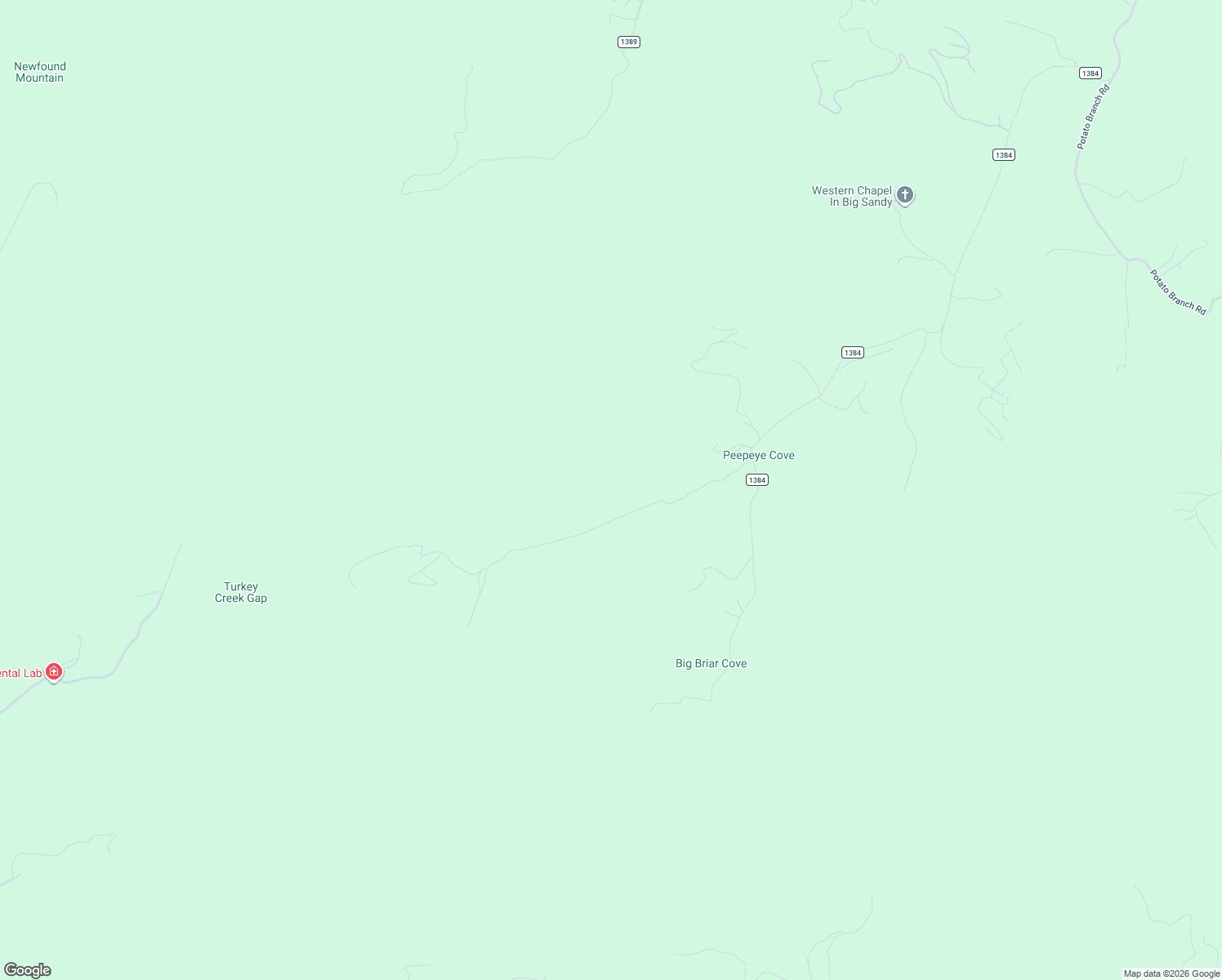 map of restaurants, bars, coffee shops, grocery stores, and more near 81 Peepeye Cove Road in Leicester