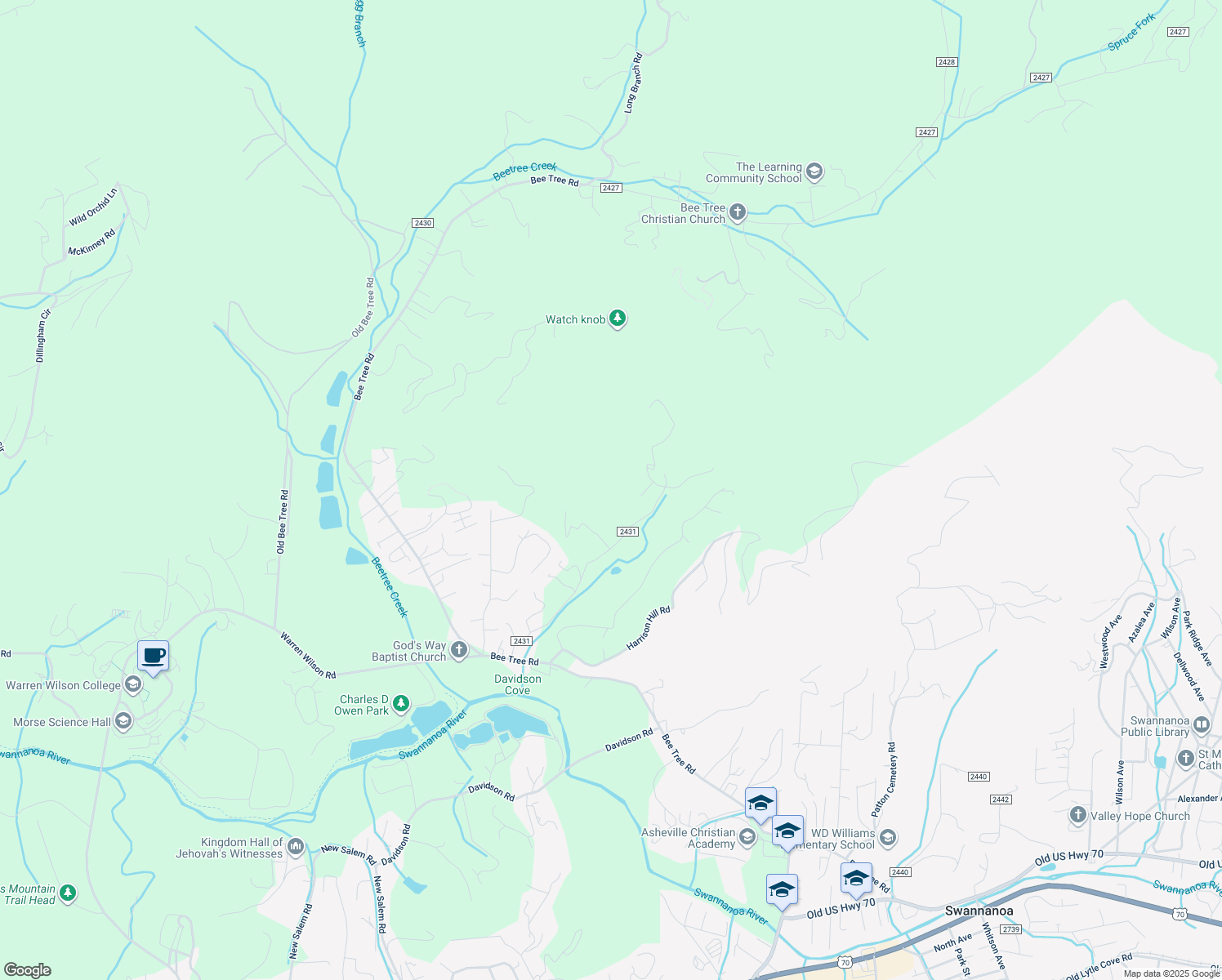 map of restaurants, bars, coffee shops, grocery stores, and more near 164 Riddle Road in Swannanoa