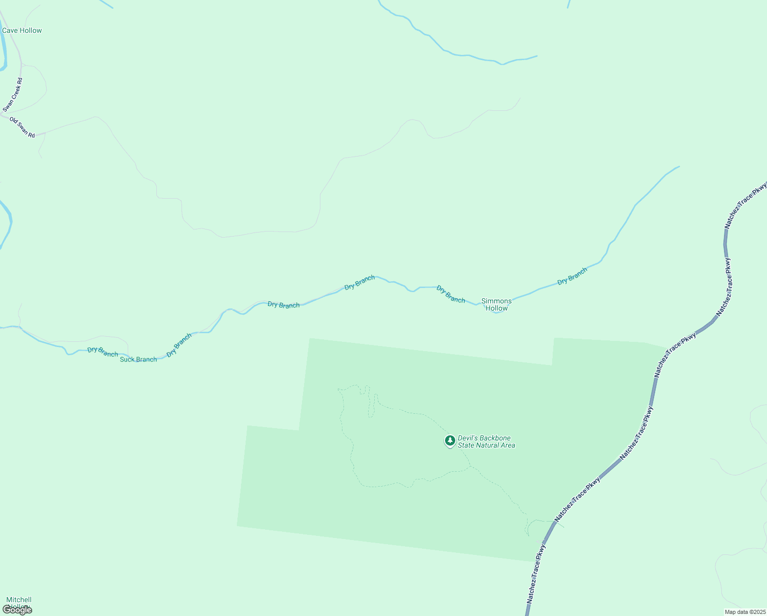 map of restaurants, bars, coffee shops, grocery stores, and more near 582 Dry Branch Road in Hohenwald