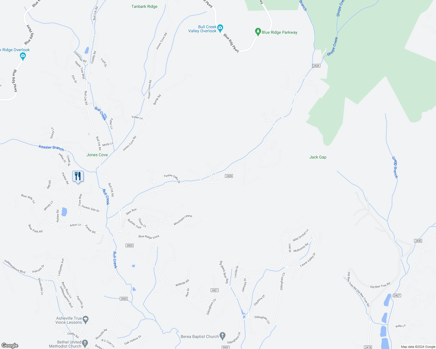 map of restaurants, bars, coffee shops, grocery stores, and more near 202 Shope Creek Road in Asheville