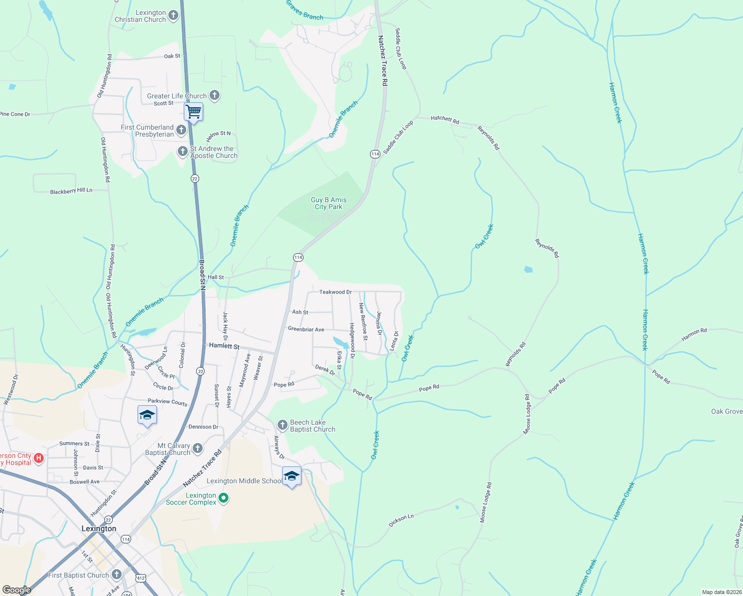 map of restaurants, bars, coffee shops, grocery stores, and more near 259 Jemma Dr in Lexington