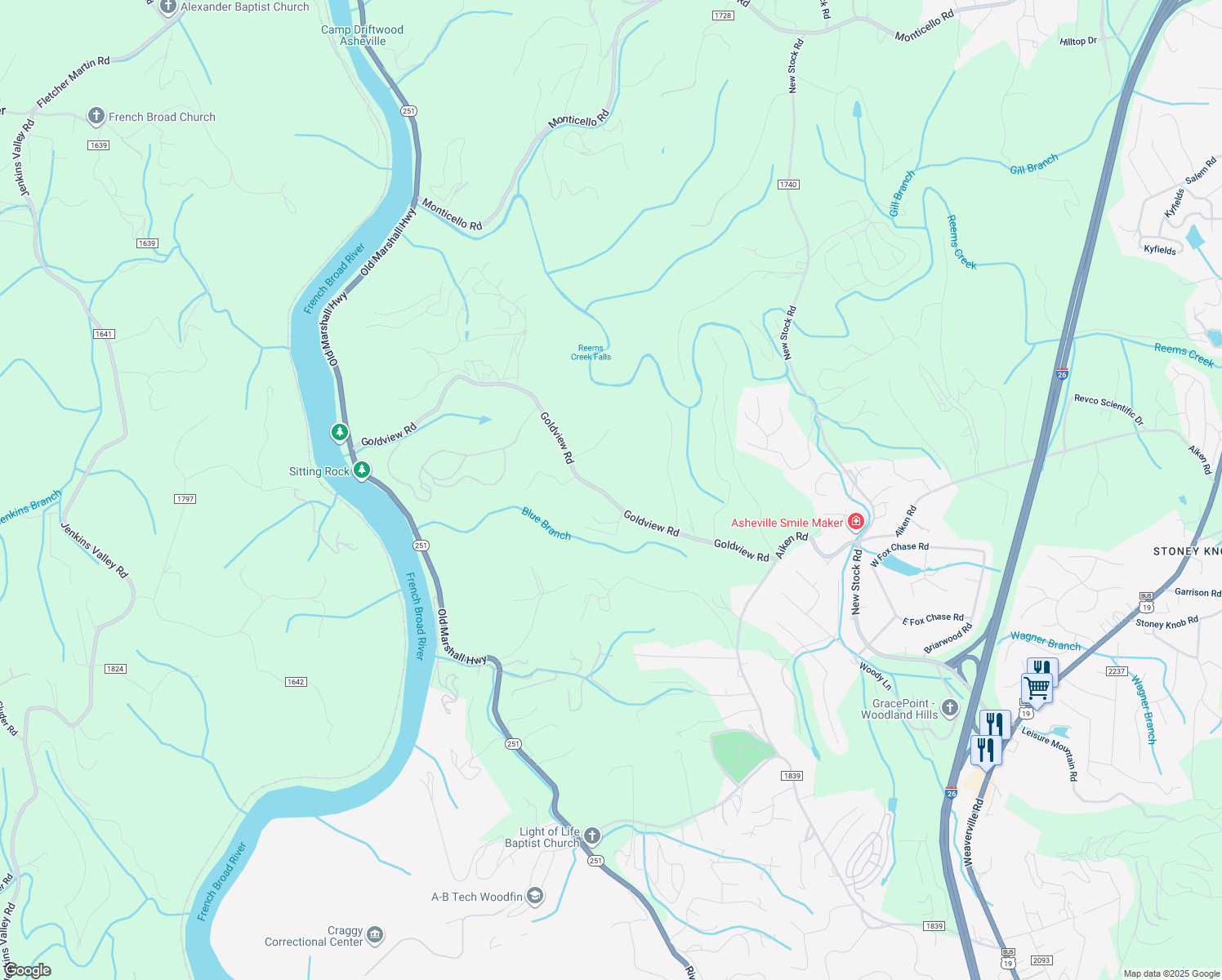 map of restaurants, bars, coffee shops, grocery stores, and more near 154 Goldview Road in Asheville