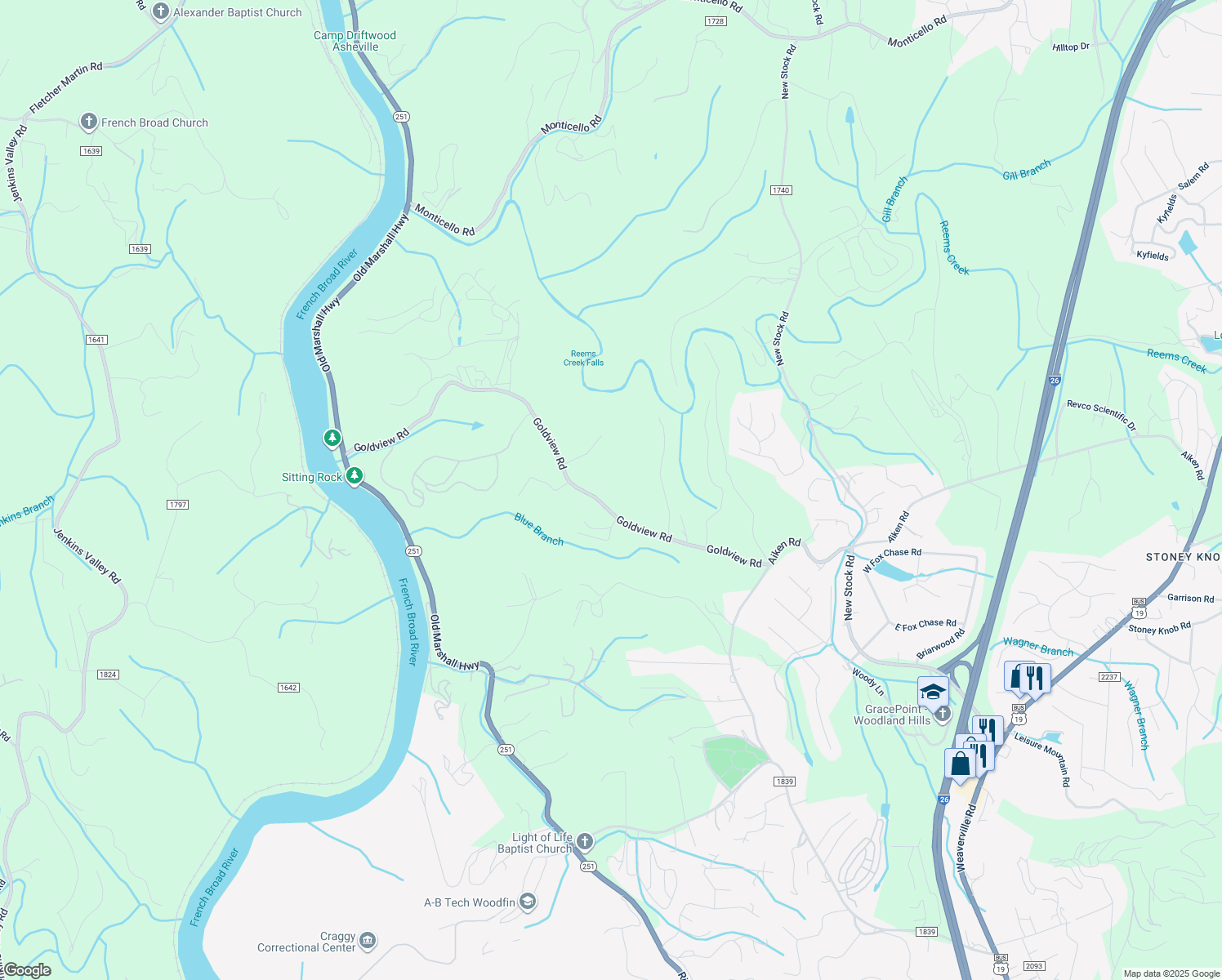 map of restaurants, bars, coffee shops, grocery stores, and more near 154 Goldview Road in Asheville