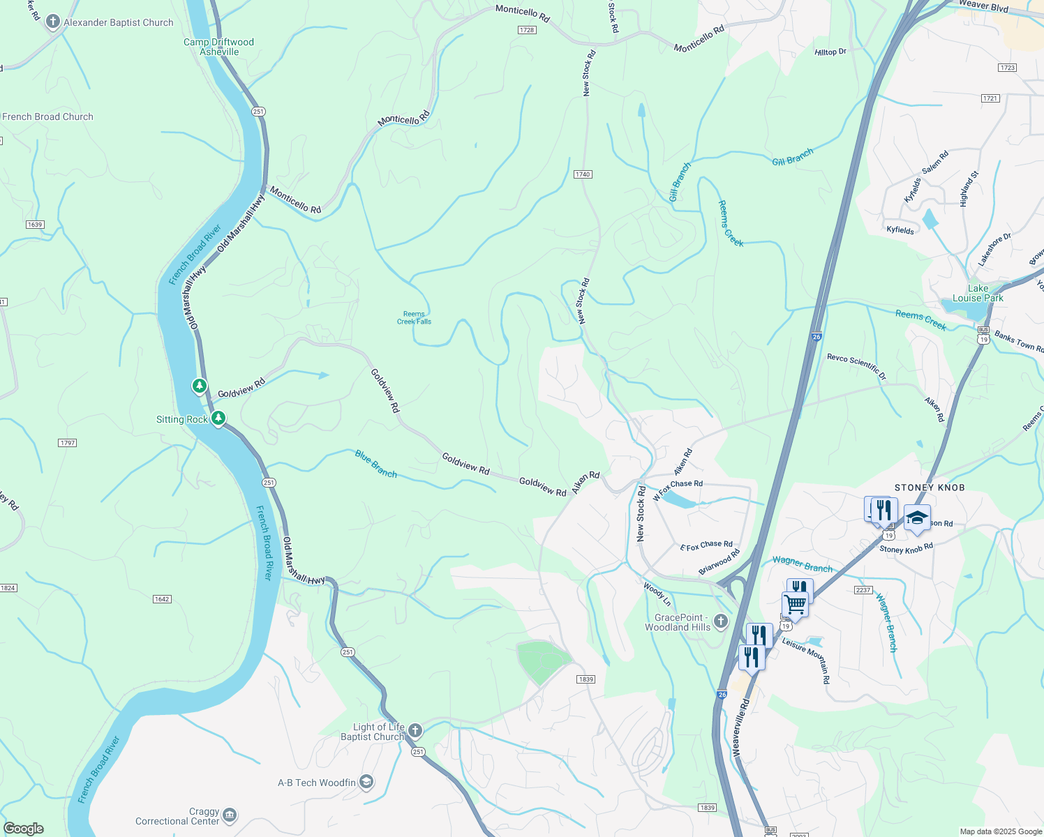 map of restaurants, bars, coffee shops, grocery stores, and more near Rice Meadows in Buncombe County