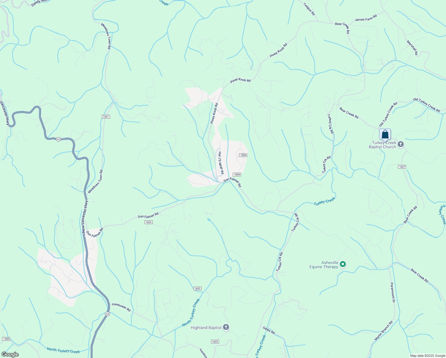 map of restaurants, bars, coffee shops, grocery stores, and more near 451 Don Felmet Road in Leicester