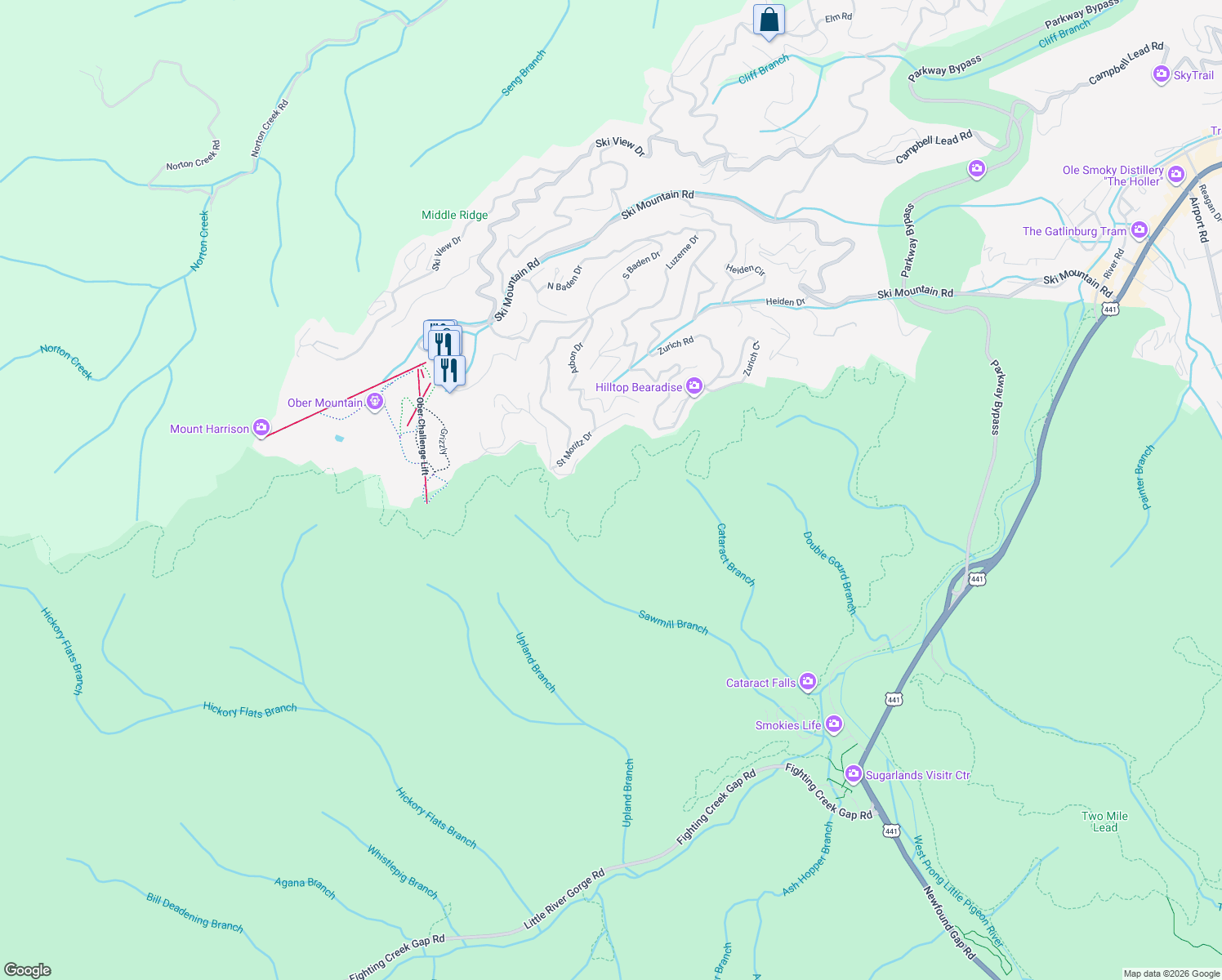 map of restaurants, bars, coffee shops, grocery stores, and more near in Gatlinburg