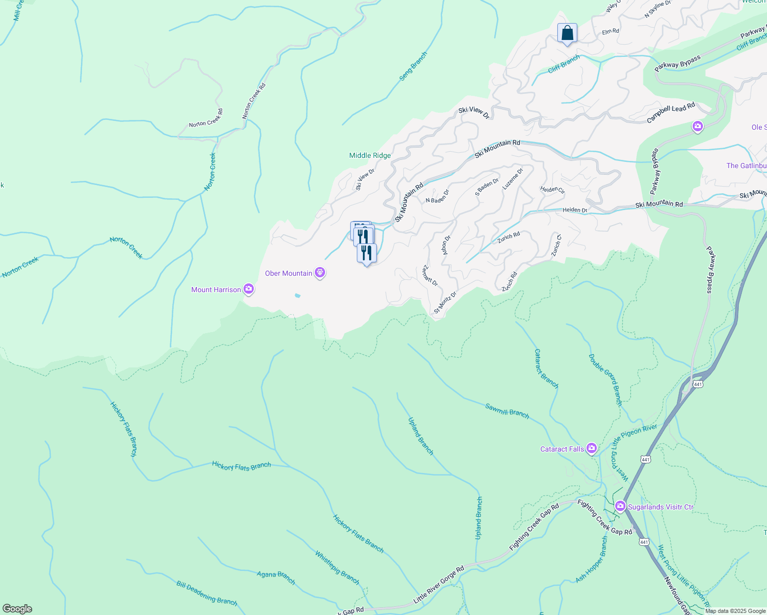 map of restaurants, bars, coffee shops, grocery stores, and more near 2303 Smoky Mountain Court in Gatlinburg