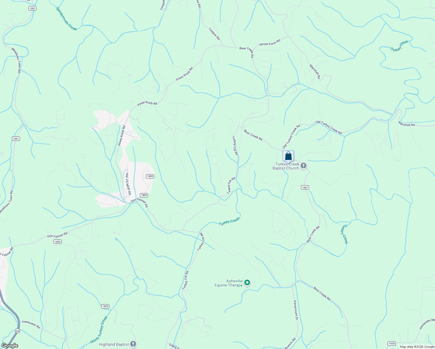 map of restaurants, bars, coffee shops, grocery stores, and more near 141 Turkey Creek Drive in Leicester