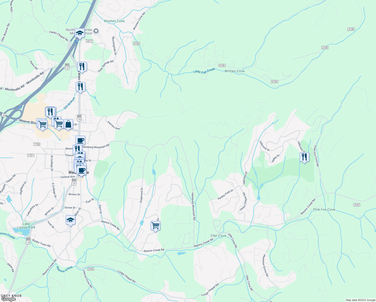 map of restaurants, bars, coffee shops, grocery stores, and more near 216 Hamburg Mountain Road in Weaverville