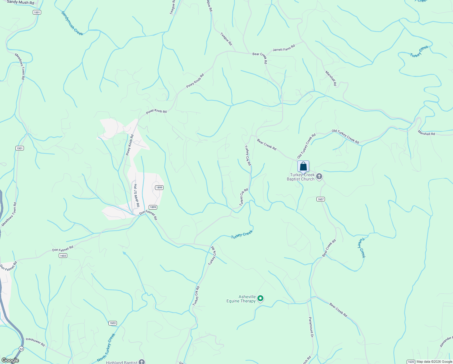 map of restaurants, bars, coffee shops, grocery stores, and more near 141 Turkey Creek Drive in Leicester