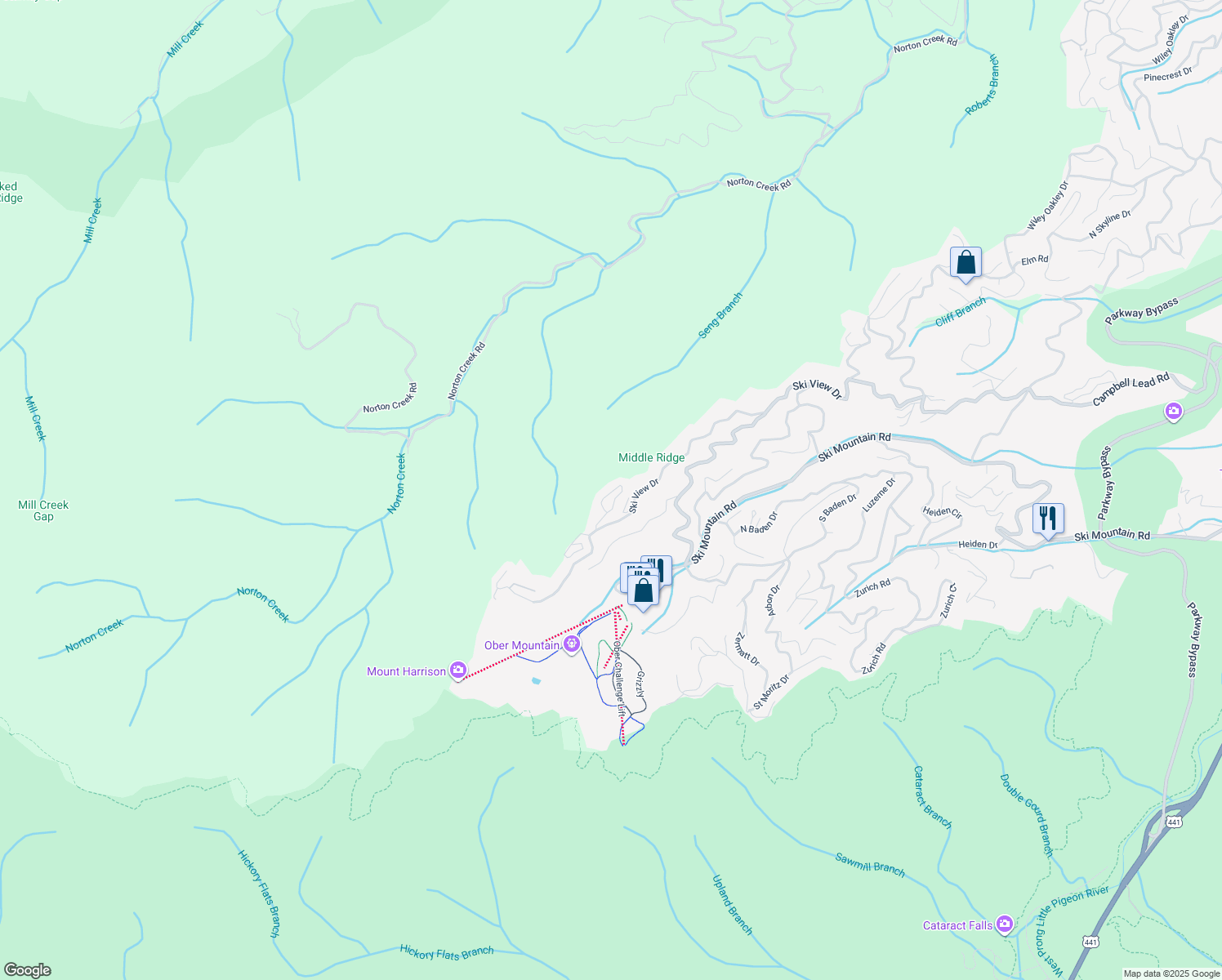 map of restaurants, bars, coffee shops, grocery stores, and more near 1260 Ski View Drive in Gatlinburg