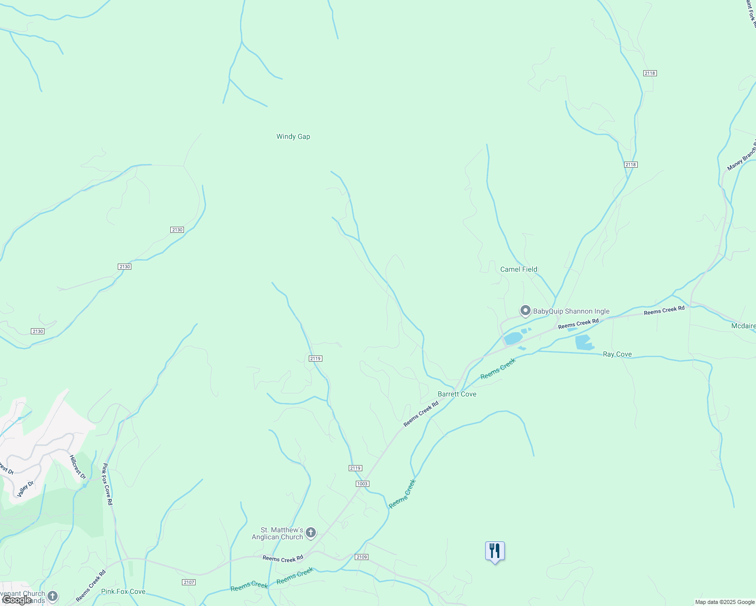 map of restaurants, bars, coffee shops, grocery stores, and more near Silver Hawk Lane in Weaverville