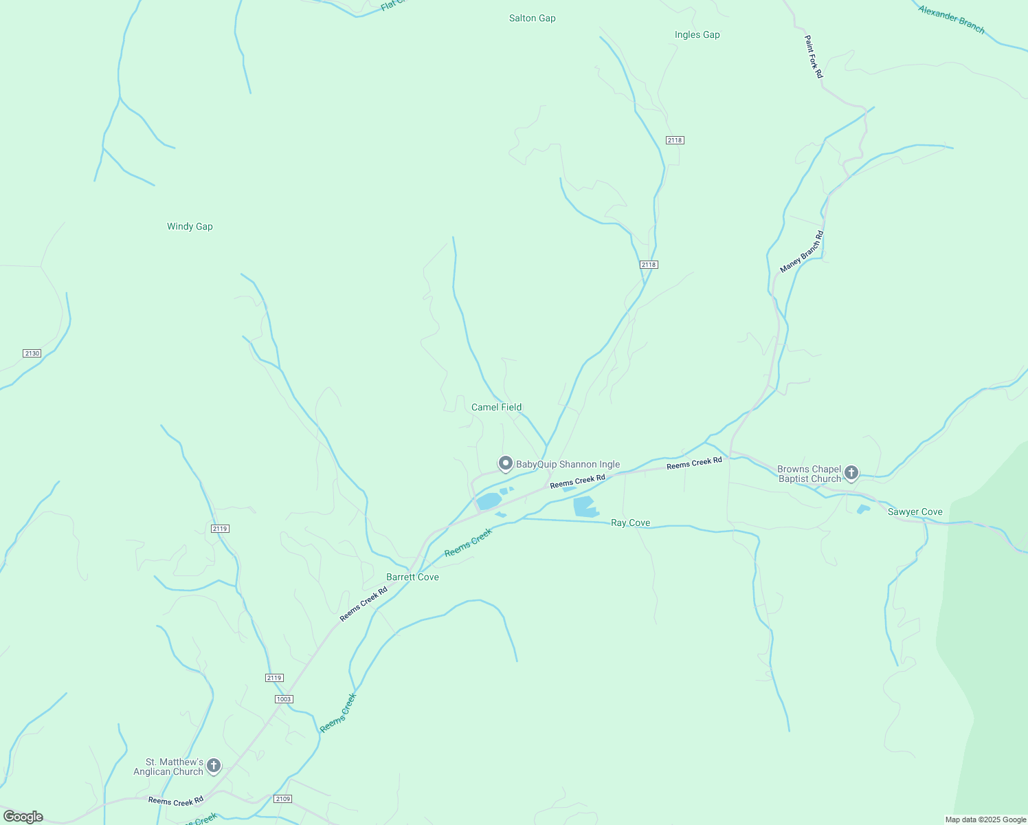 map of restaurants, bars, coffee shops, grocery stores, and more near 99999 Lula Cove Road in Weaverville
