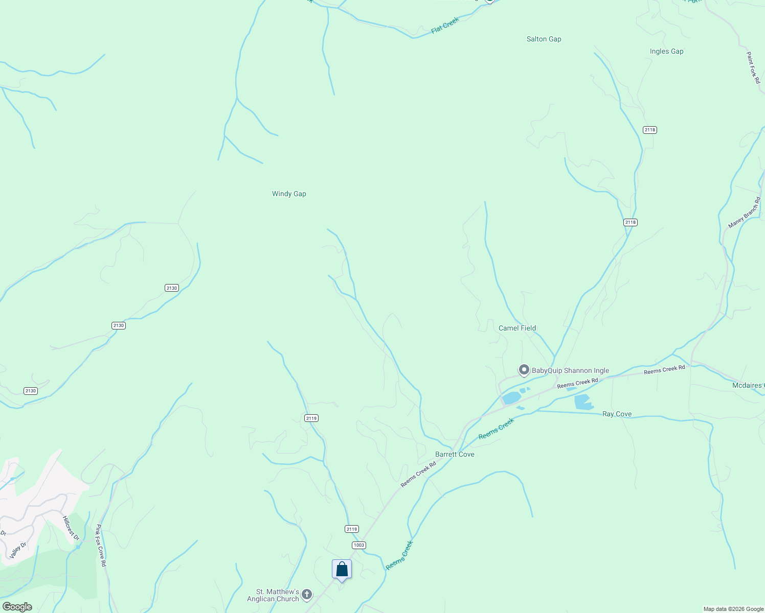 map of restaurants, bars, coffee shops, grocery stores, and more near 38 Hawks Pointe Lane in Weaverville