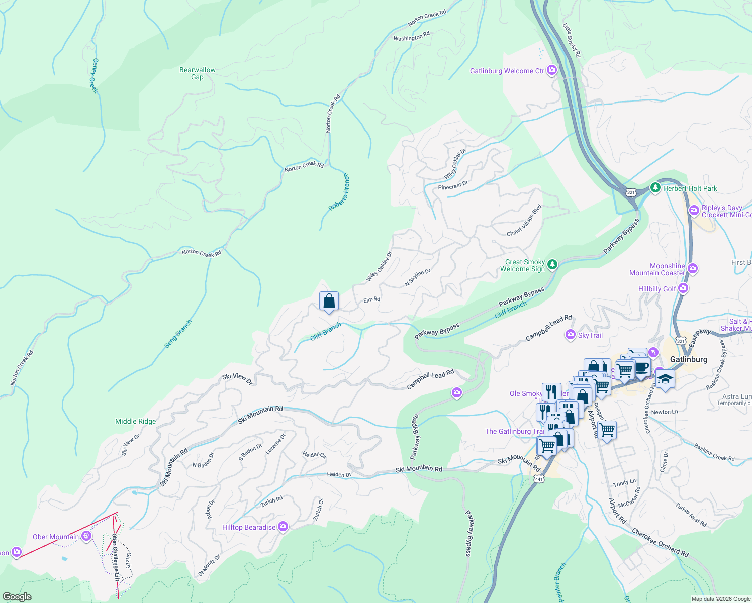 map of restaurants, bars, coffee shops, grocery stores, and more near 1107 Longview Court in Gatlinburg