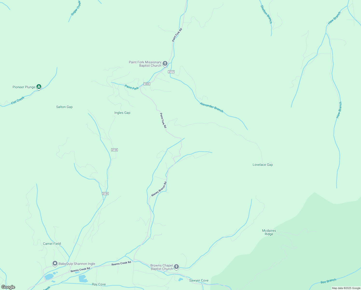 map of restaurants, bars, coffee shops, grocery stores, and more near 200 Maney Branch Road in Weaverville