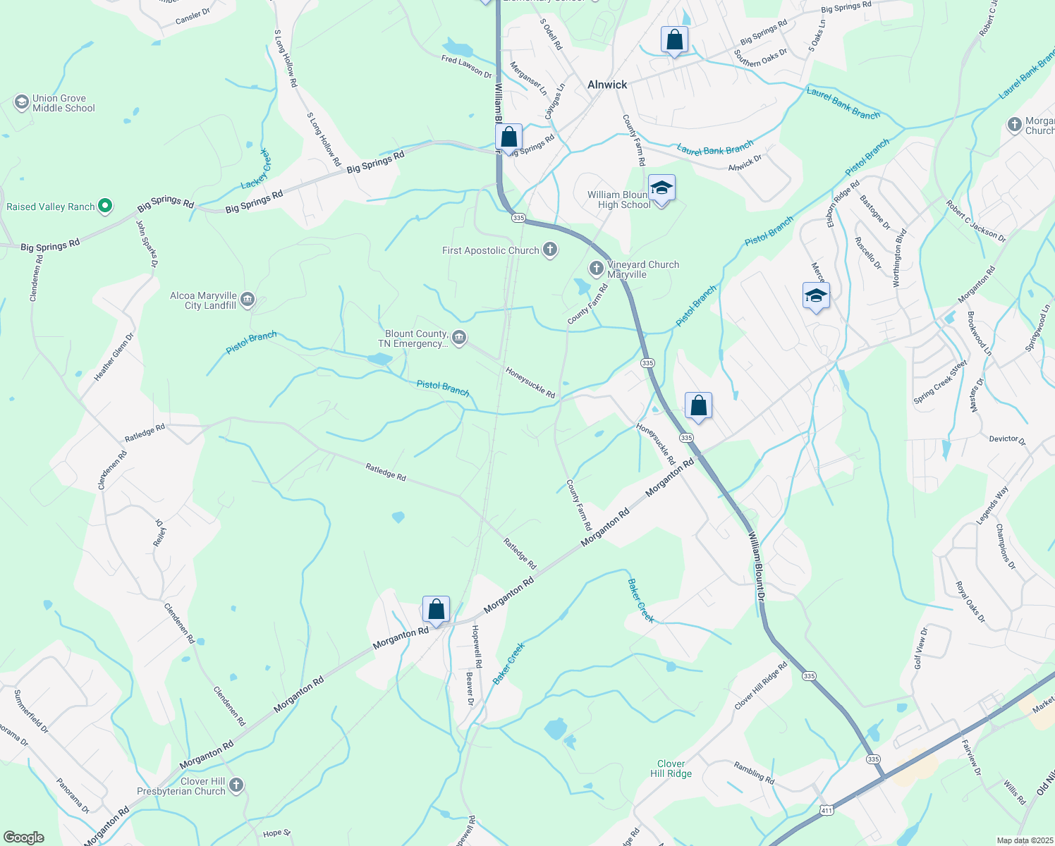 142 Terry Way, Friendsville TN Walk Score