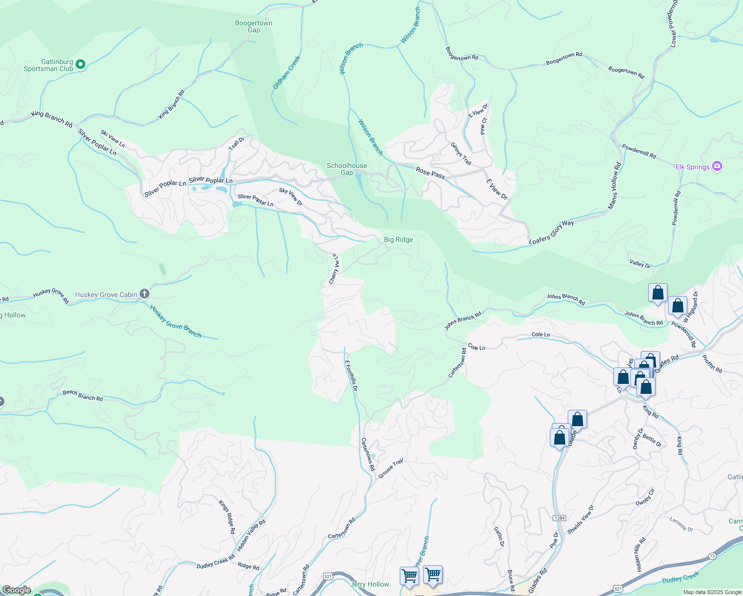map of restaurants, bars, coffee shops, grocery stores, and more near 2006 Orchard Drive in Sevierville