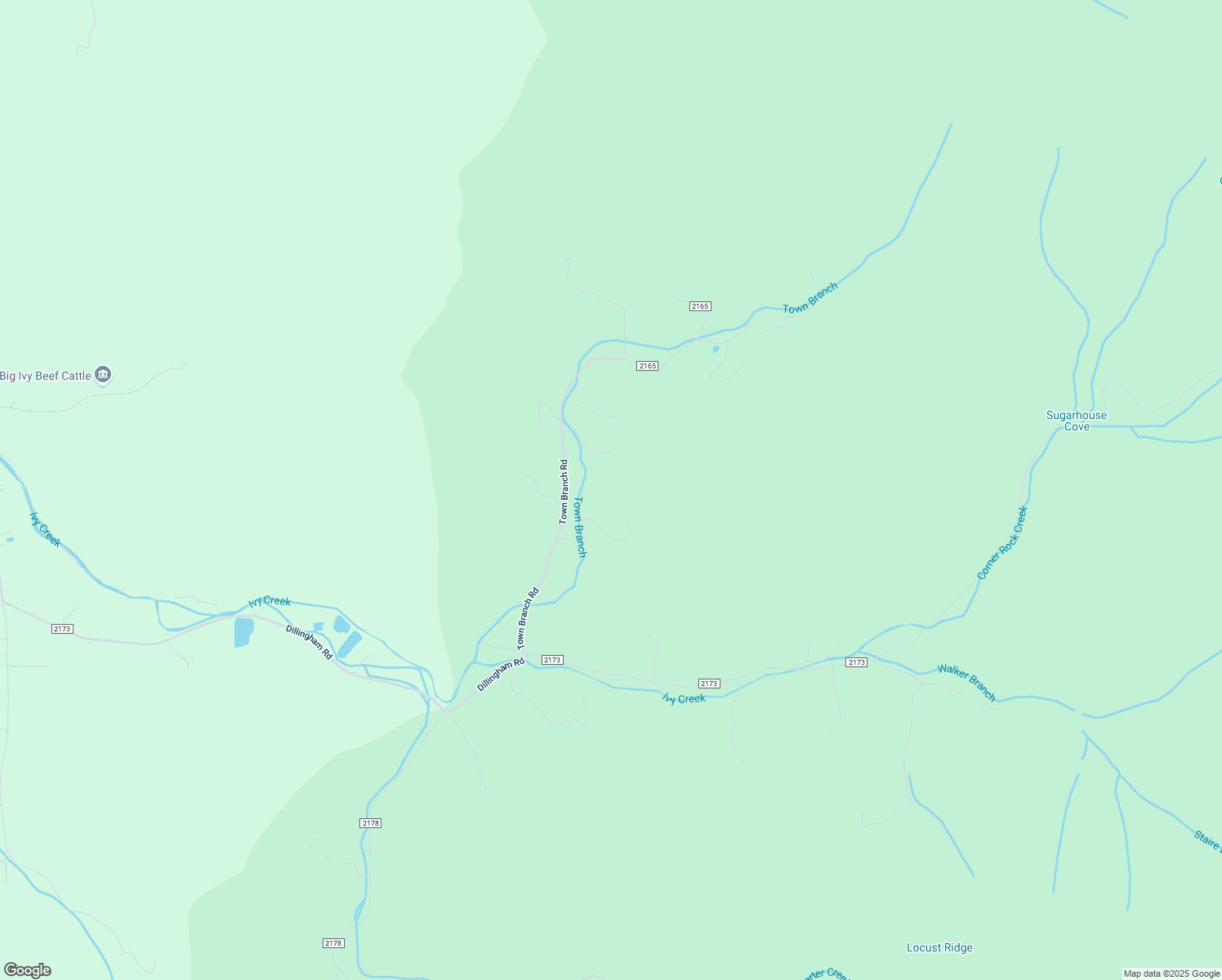 map of restaurants, bars, coffee shops, grocery stores, and more near 171 Town Branch Road in Barnardsville