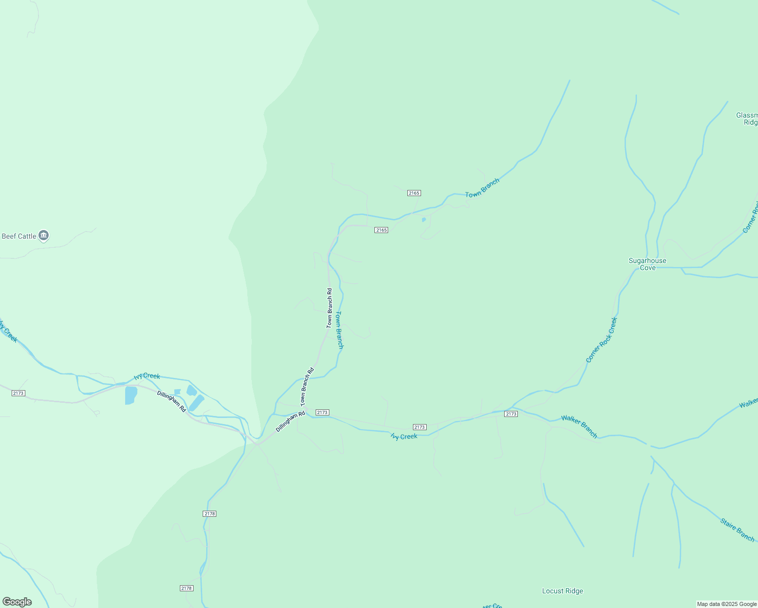 map of restaurants, bars, coffee shops, grocery stores, and more near 171 Town Branch Road in Barnardsville