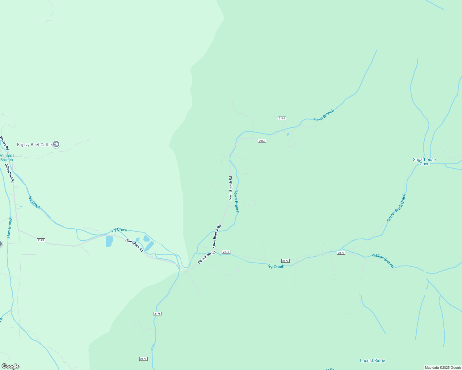 map of restaurants, bars, coffee shops, grocery stores, and more near State Road 2165 in Buncombe County