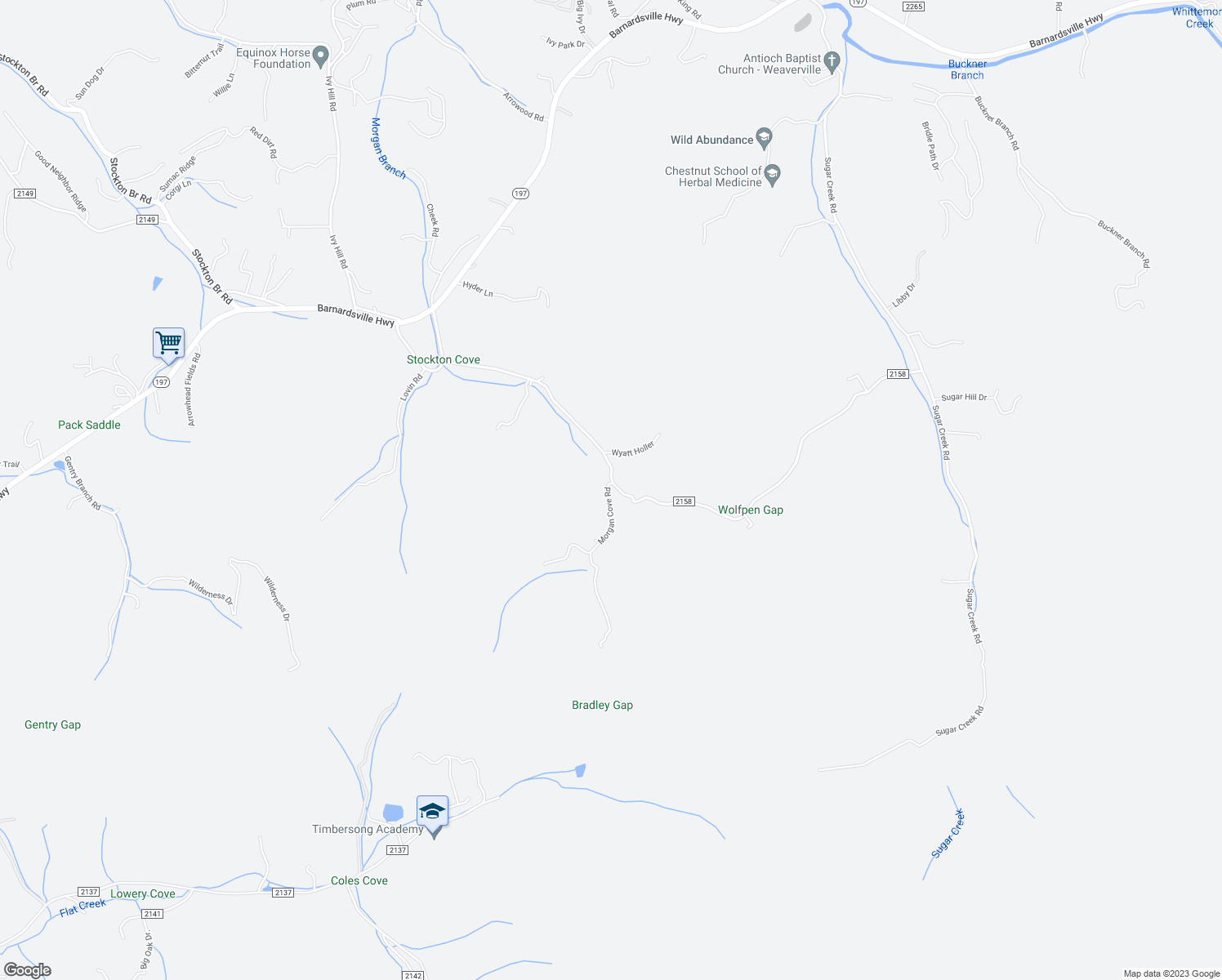 map of restaurants, bars, coffee shops, grocery stores, and more near 8 Morgan Cove Road in Weaverville