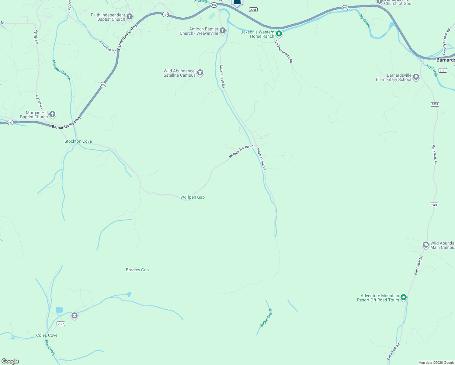 map of restaurants, bars, coffee shops, grocery stores, and more near in Barnardsville