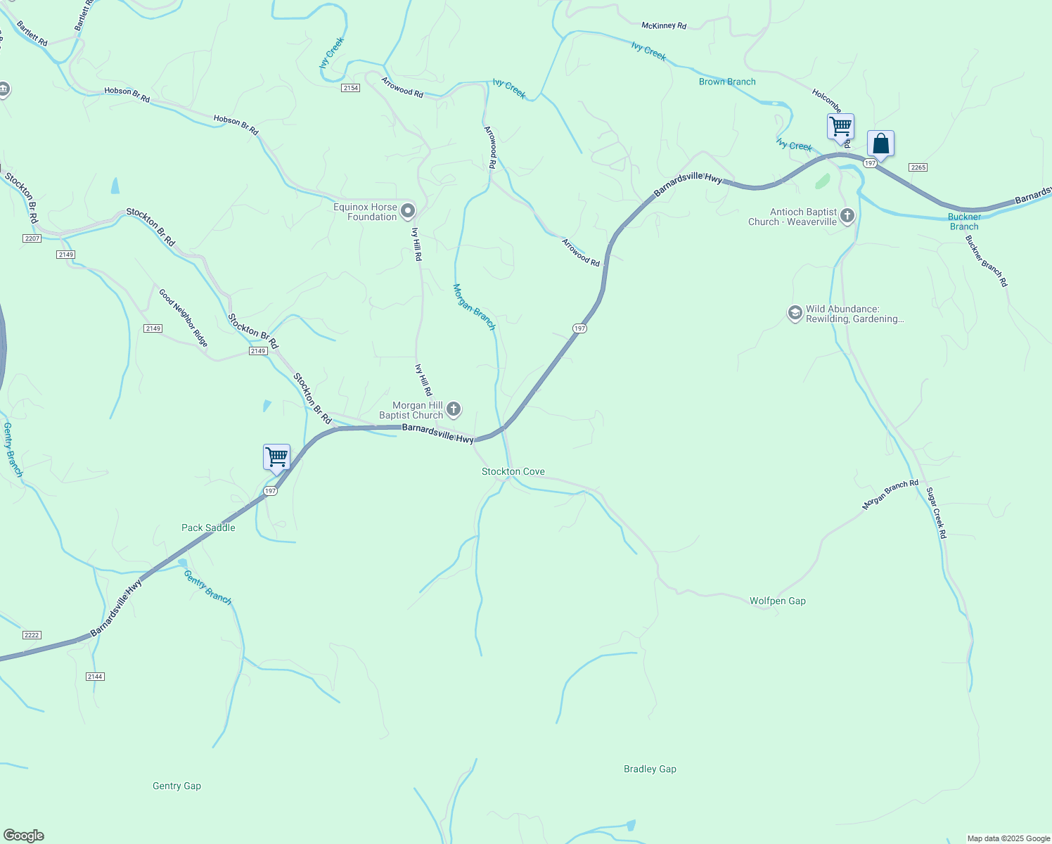 map of restaurants, bars, coffee shops, grocery stores, and more near 11 Hyder Lane in Weaverville