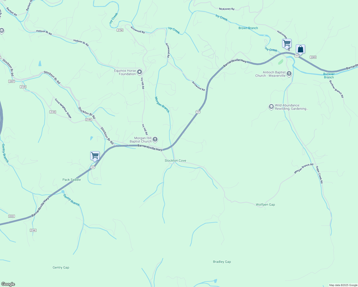 map of restaurants, bars, coffee shops, grocery stores, and more near 11 Hyder Lane in Weaverville
