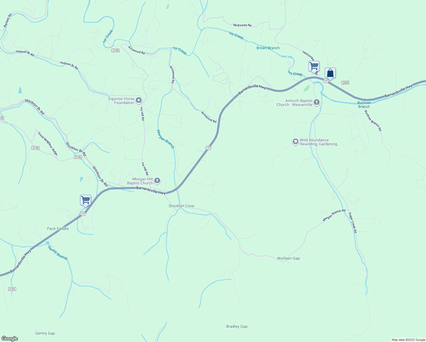 map of restaurants, bars, coffee shops, grocery stores, and more near 705 Barnardsville Highway in Weaverville