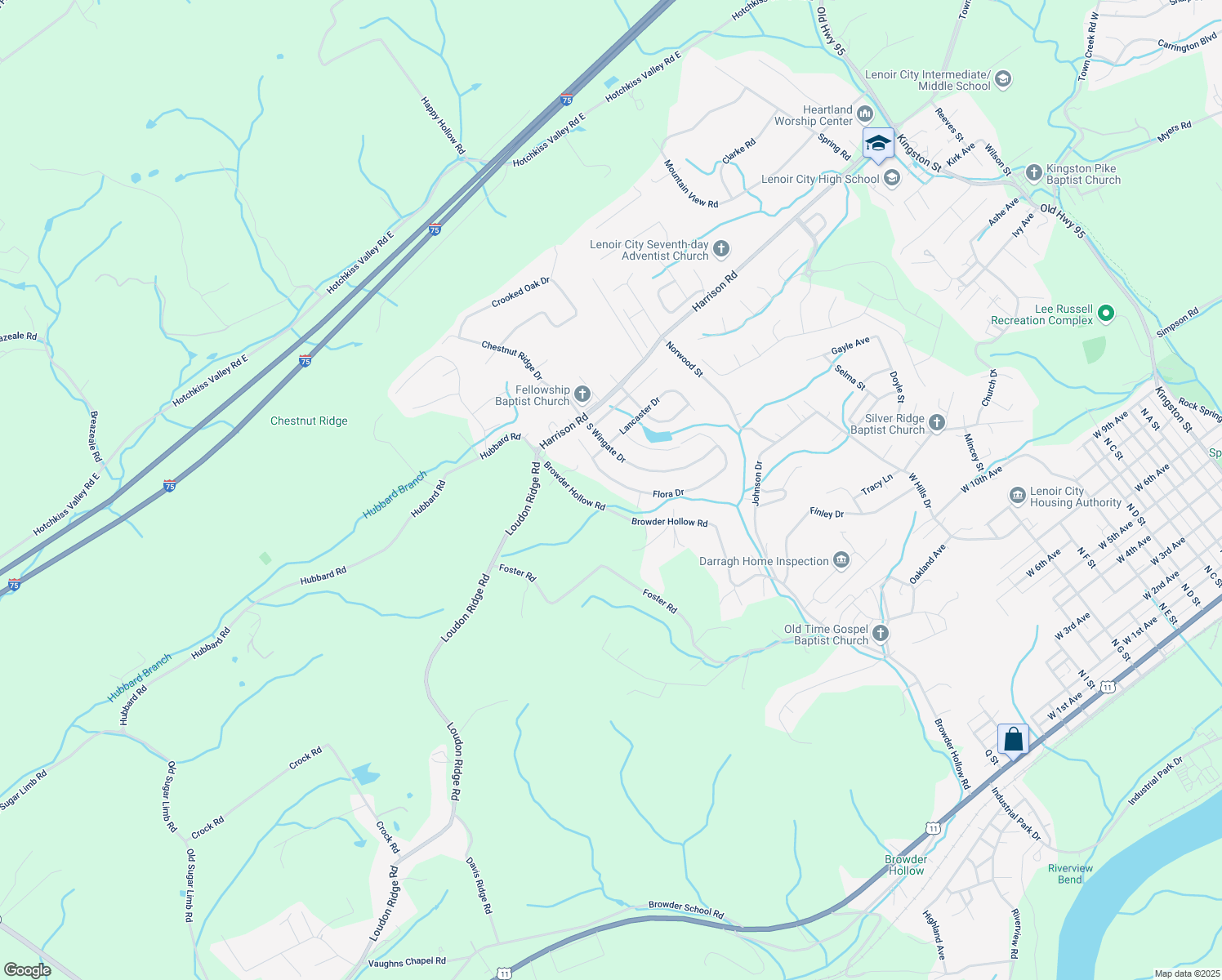 map of restaurants, bars, coffee shops, grocery stores, and more near 230 Flora Drive in Lenoir City