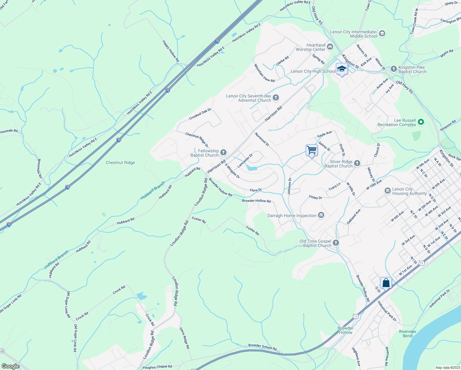 map of restaurants, bars, coffee shops, grocery stores, and more near 230 Flora Drive in Lenoir City