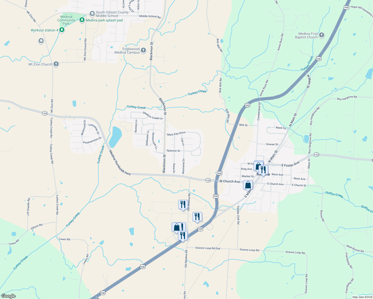 map of restaurants, bars, coffee shops, grocery stores, and more near 210 Lila Ln in Medina