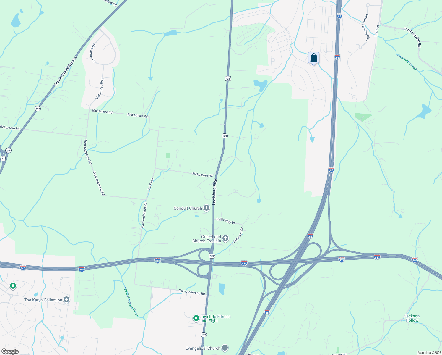 map of restaurants, bars, coffee shops, grocery stores, and more near in Williamson County