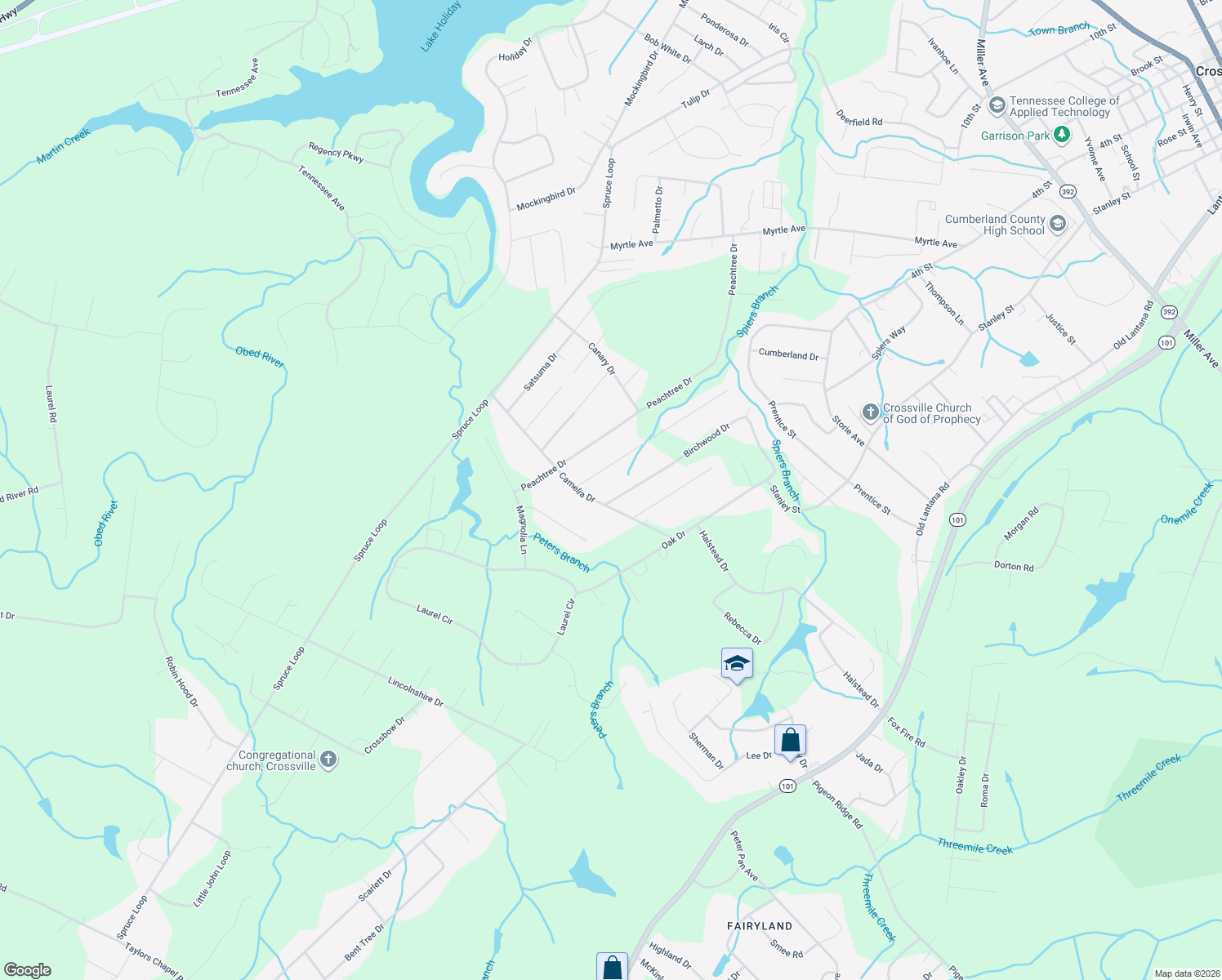 map of restaurants, bars, coffee shops, grocery stores, and more near 690 Birchwood Drive in Crossville