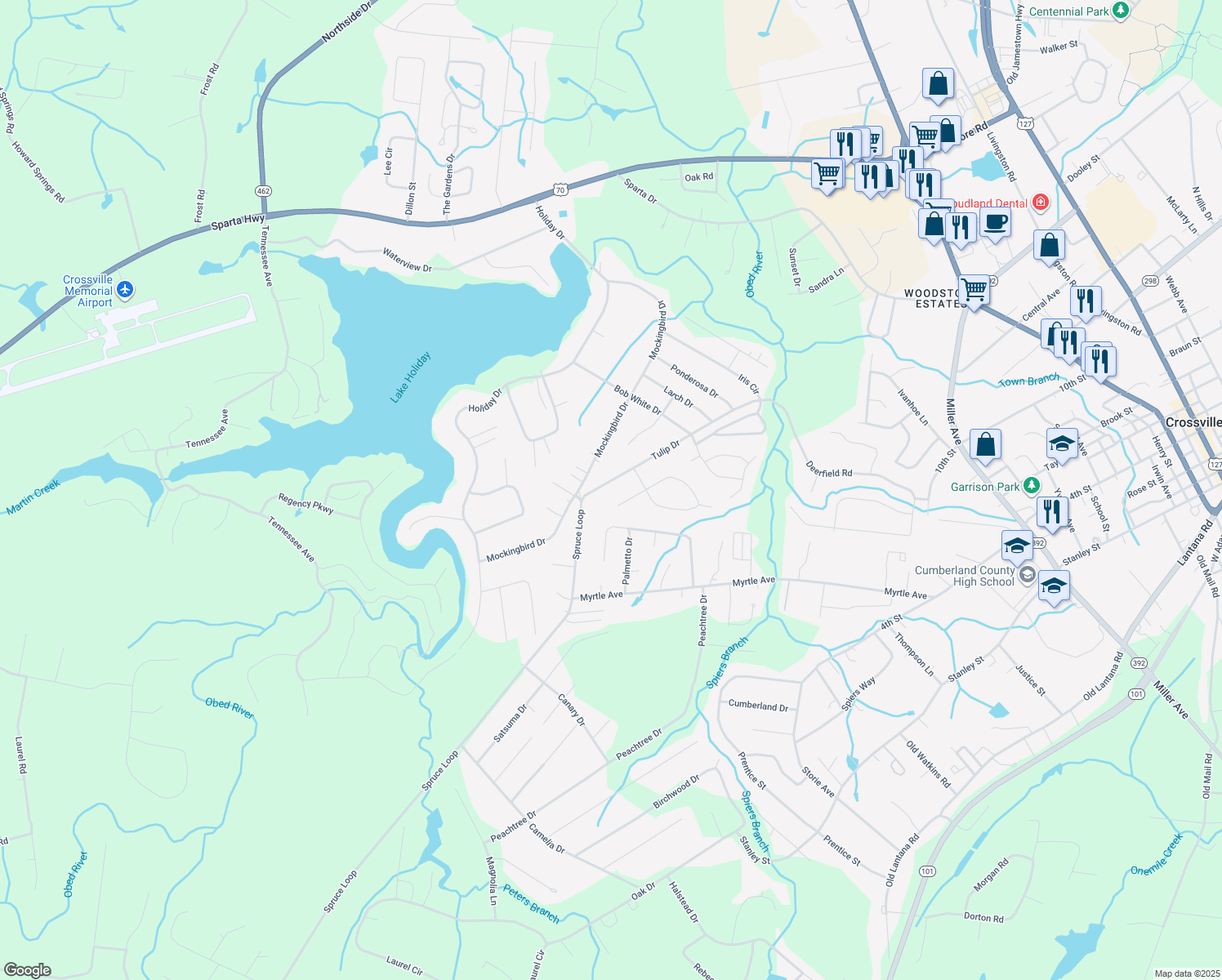 map of restaurants, bars, coffee shops, grocery stores, and more near 82 Tulip Drive in Crossville